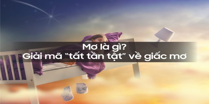 Khám phá giấc mơ theo góc nhìn người chơi đề